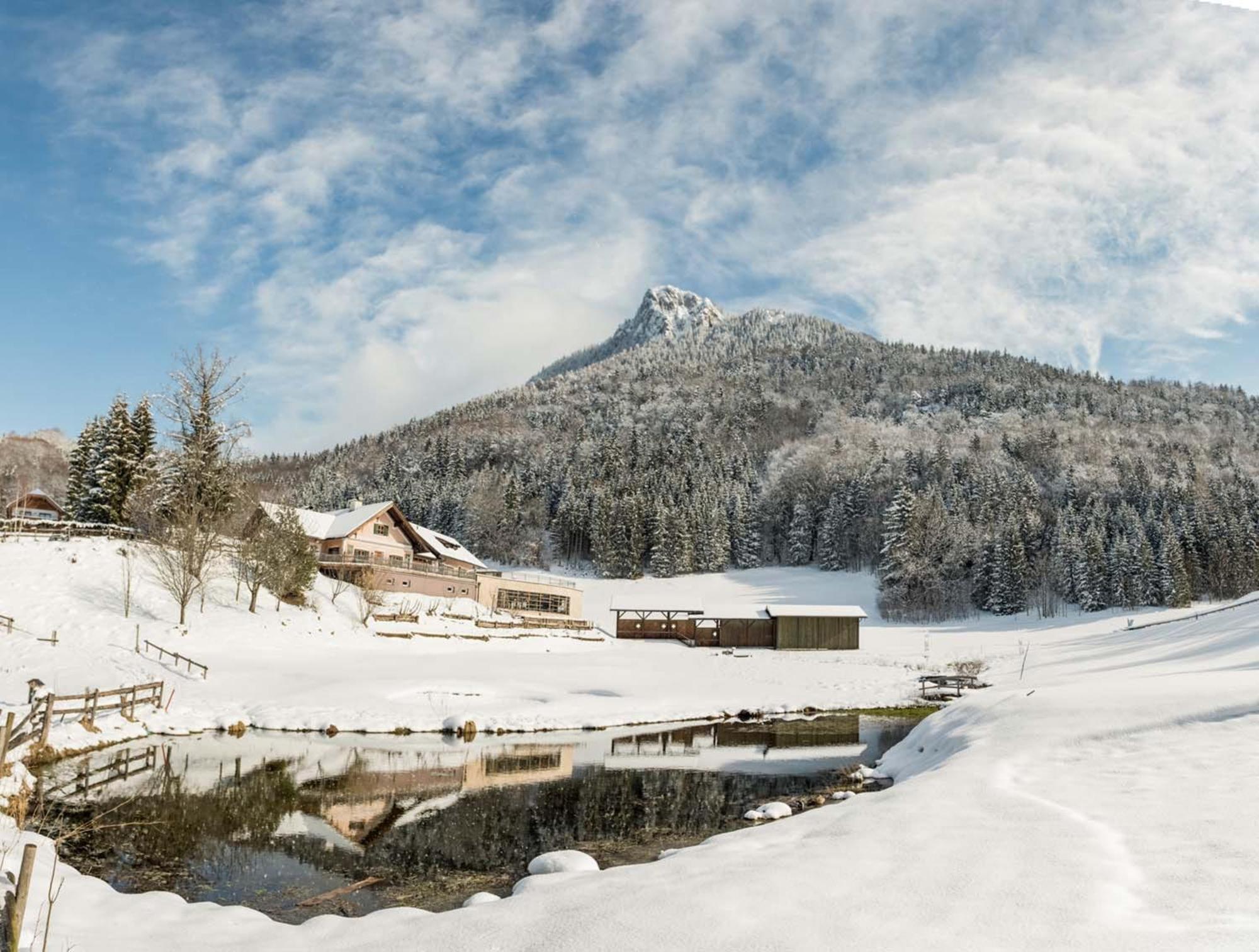 Waldhof Fuschlsee Resort Fuschl am See Eksteriør bilde